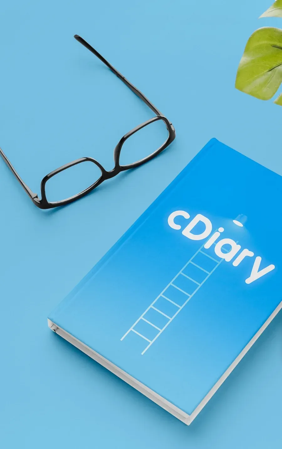 The cDiary, a career planning diary with a sky blue cover showing a ladder